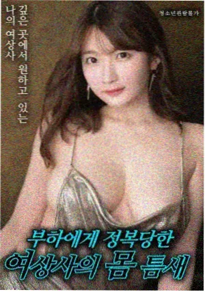 旧胶片计划纪录片海报